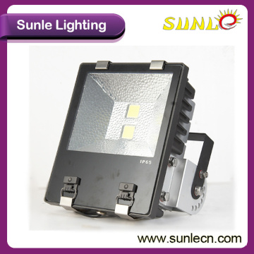 100 Watt LED Flood Light, COB Flood Light (SLFY110)